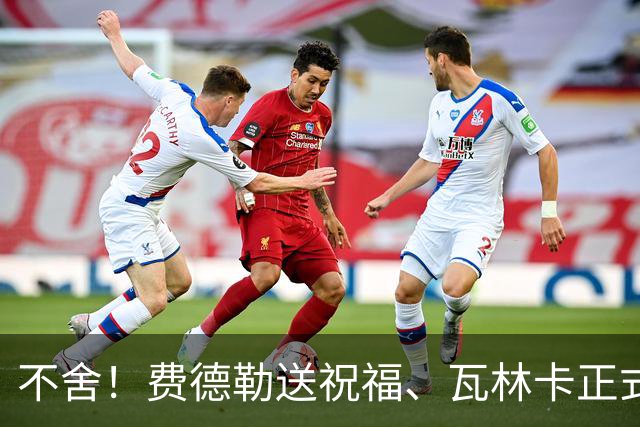 不舍！费德勒送祝福、瓦林卡正式退役