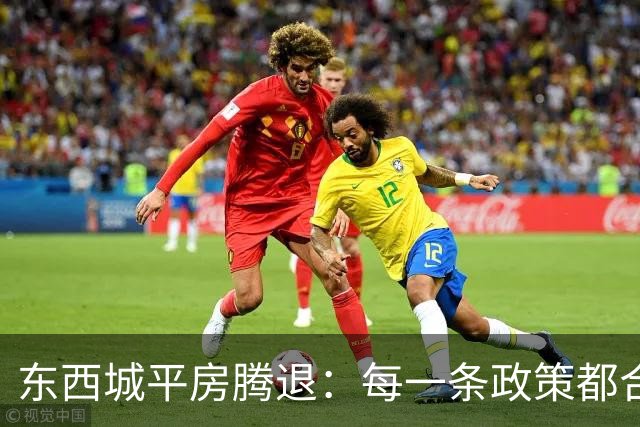 东西城平房腾退：每一条政策都合法，但合在一起就是让你待不舒服