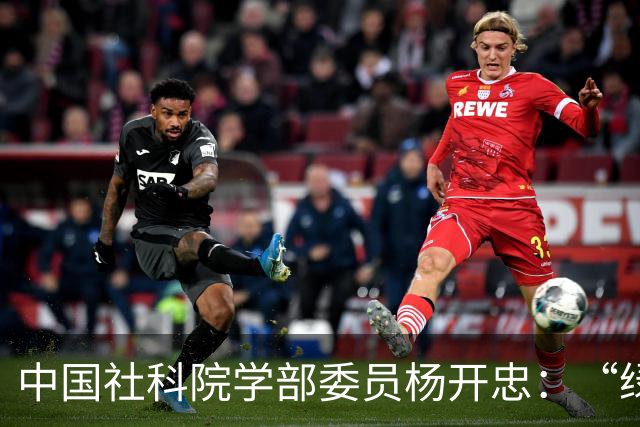 中国社科院学部委员杨开忠：“绿智韧”是企业走向未来的必由之路