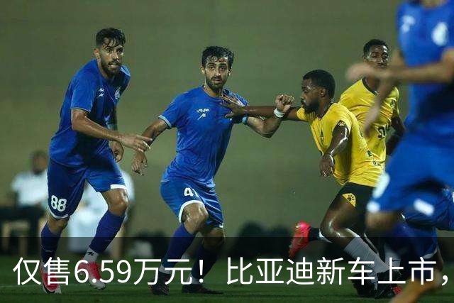仅售6.59万元！比亚迪新车上市，这绝对是来捣乱的