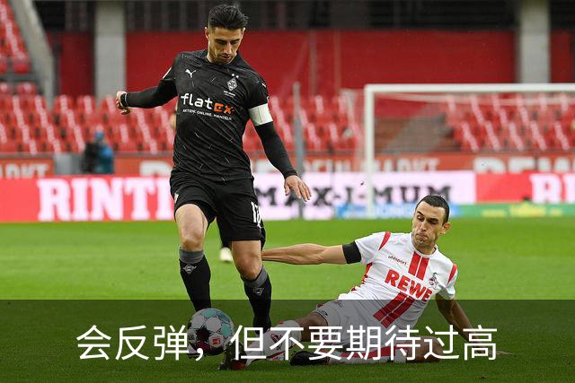 会反弹，但不要期待过高
