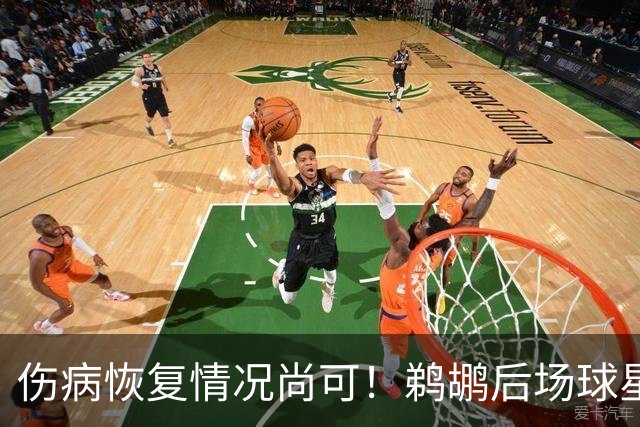 伤病恢复情况尚可！鹈鹕后场球星将会在揭幕战中完成出场？