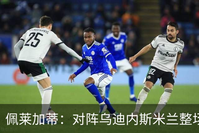 佩莱加蒂：对阵乌迪内斯米兰整场都保持了高度专注，这很积极