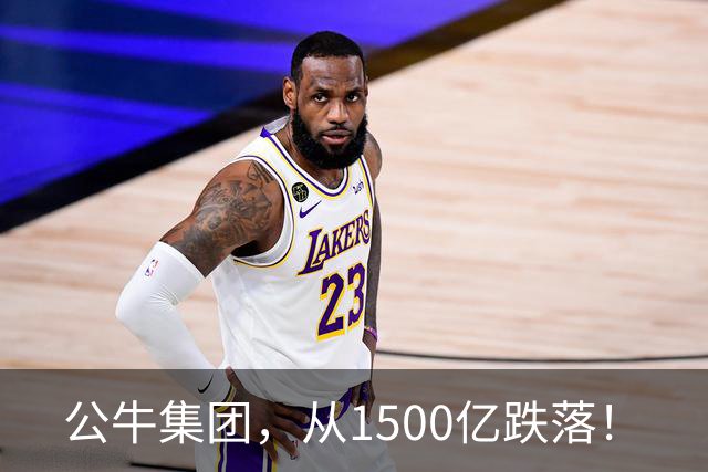 公牛集团，从1500亿跌落！