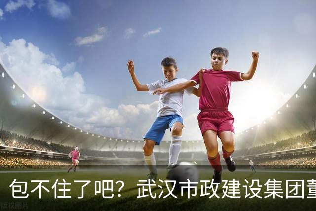 包不住了吧？武汉市政建设集团董事长朱红西主动投案
