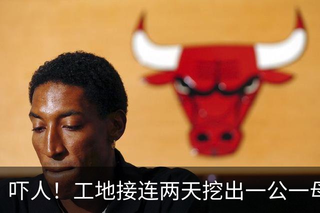 吓人！工地接连两天挖出一公一母两条巨蟒！“蛇身有人的小腿那么粗，目测有2米多长”，经确认均为缅甸蟒