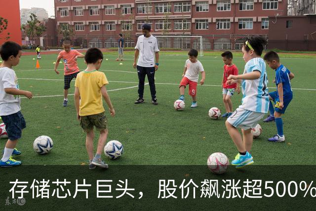存储芯片巨头，股价飙涨超500%