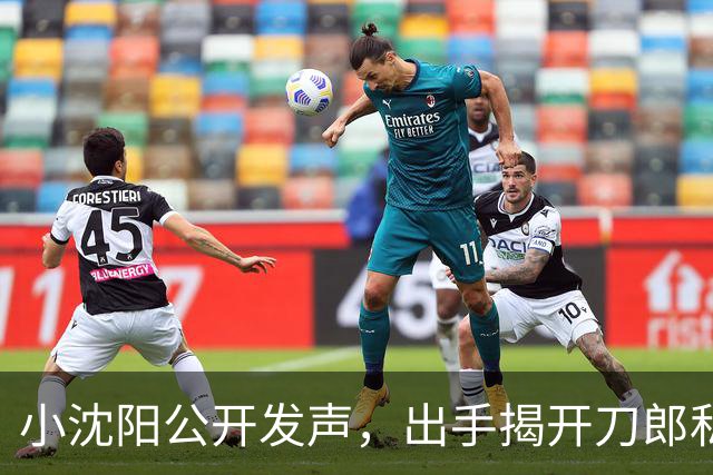 小沈阳公开发声，出手揭开刀郎私下人品，其实他和那英是一类人