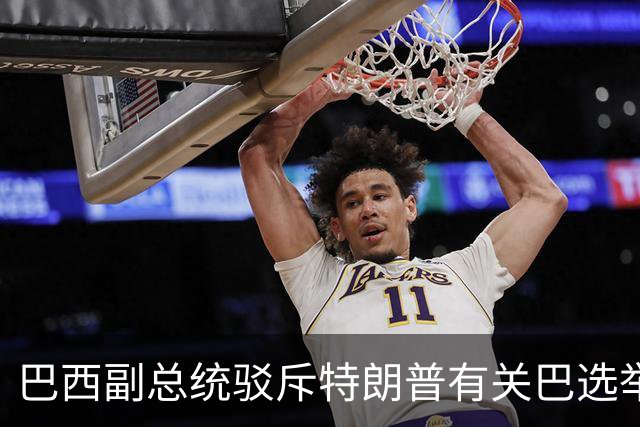 巴西副总统驳斥特朗普有关巴选举“被操纵”言论