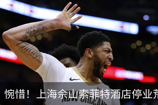 惋惜！上海佘山索菲特酒店停业荒置九年：曾经的“小三亚”，如今只剩荷花自开自谢，什么时候能重获新生？