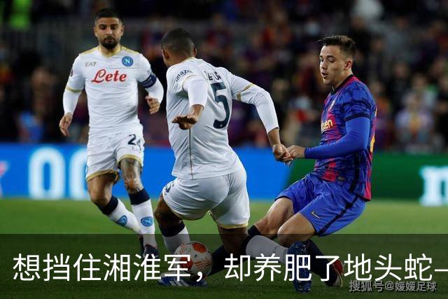 想挡住湘淮军，却养肥了地头蛇——大清在广东的最后二十年