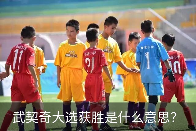 武契奇大选获胜是什么意思？