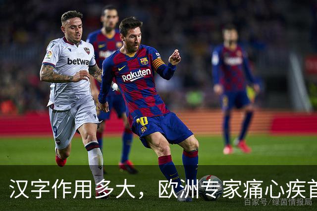 汉字作用多大，欧洲专家痛心疾首：若有汉字，欧洲或早已统一