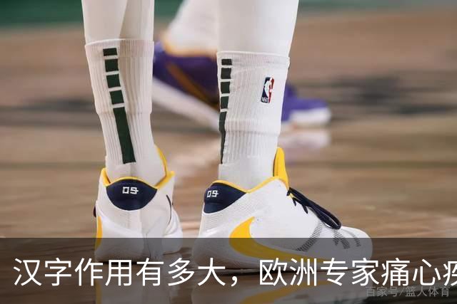 汉字作用有多大，欧洲专家痛心疾首：如果有汉字，欧洲或早已统一