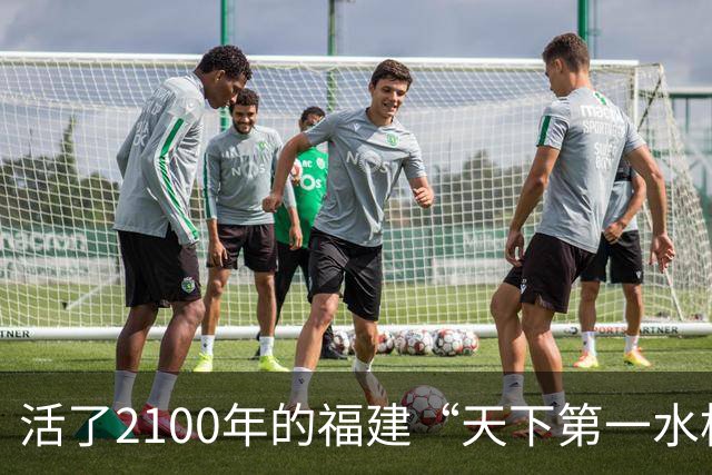 活了2100年的福建“天下第一水松”正濒临死亡？当地：这几年一直在救