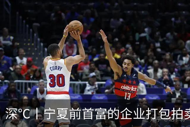深℃丨宁夏前首富的企业打包拍卖，起拍价7.39亿