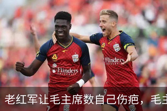 老红军让毛主席数自己伤疤，毛主席大怒喊：我不识数，你别给我看！