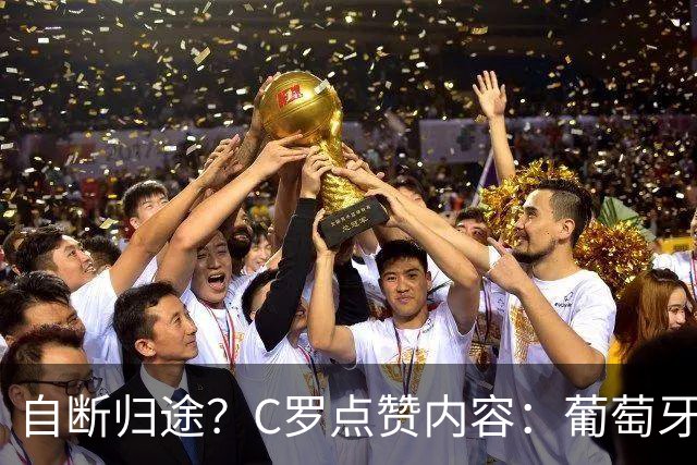 自断归途？C罗点赞内容：葡萄牙根本没人比得上C罗 他们还不尊重他