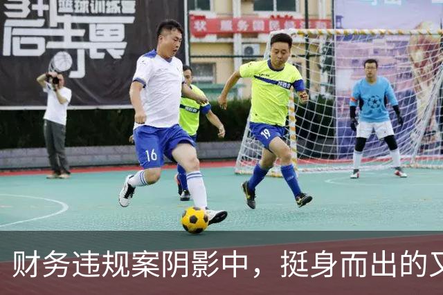 财务违规案阴影中，挺身而出的又是哈兰德