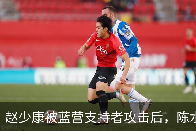 赵少康被蓝营支持者攻击后，陈水扁发声，沈伯洋向中间选民出手了