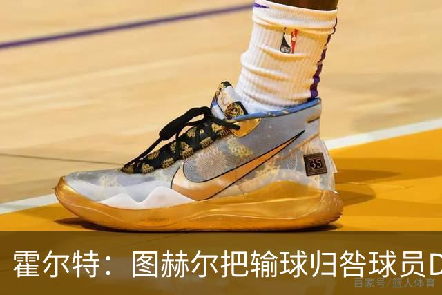 霍尔特：图赫尔把输球归咎球员DNA，是在搞精英级煤气灯操纵