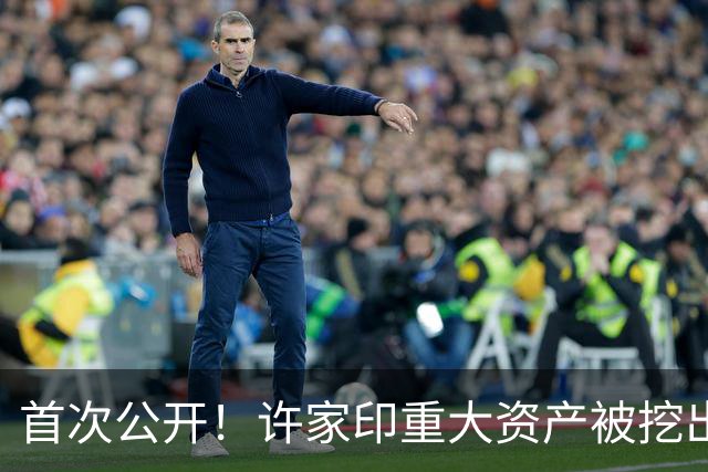 首次公开！许家印重大资产被挖出，186.5亿转给了“重庆李嘉诚”