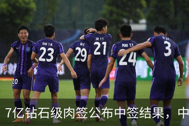 7亿钻石级肉签公布中签结果，中签号码共有14.19万个，股民中了即赚到！