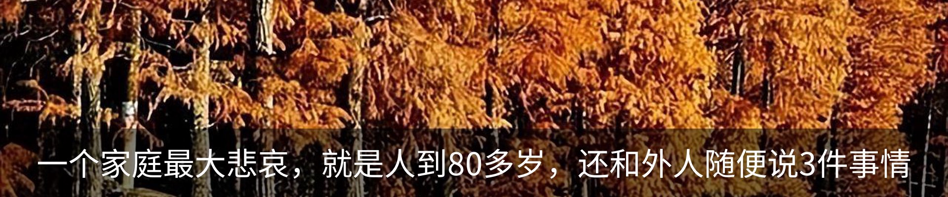 行业资讯