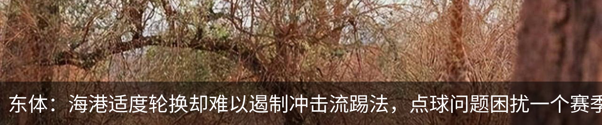 行业资讯