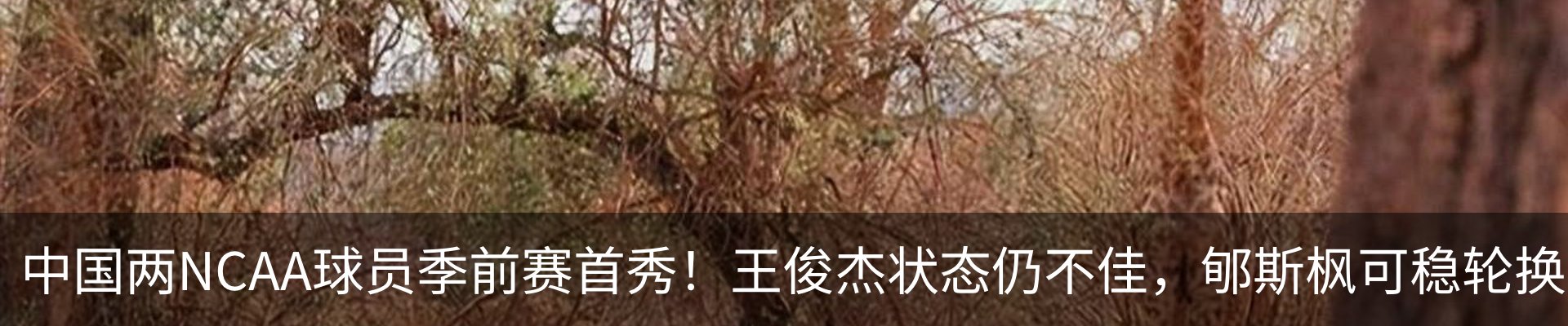 行业资讯