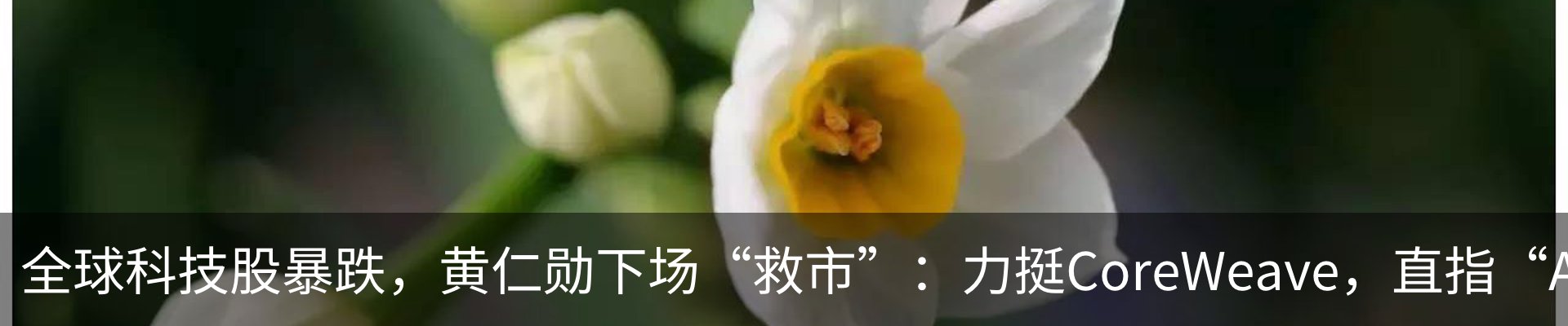 行业资讯
