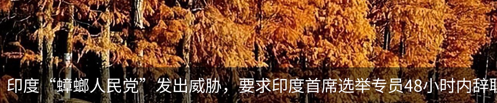 行业资讯