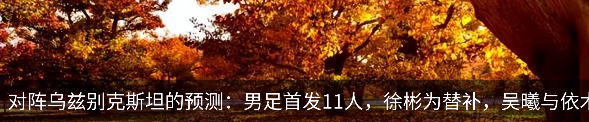 行业资讯
