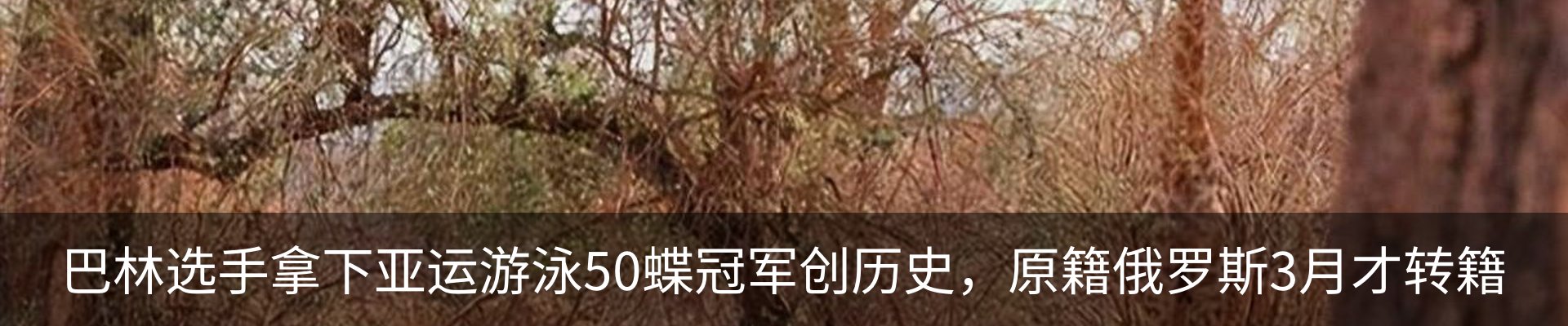 行业资讯
