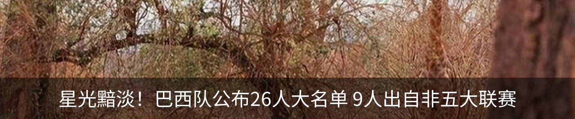 行业资讯