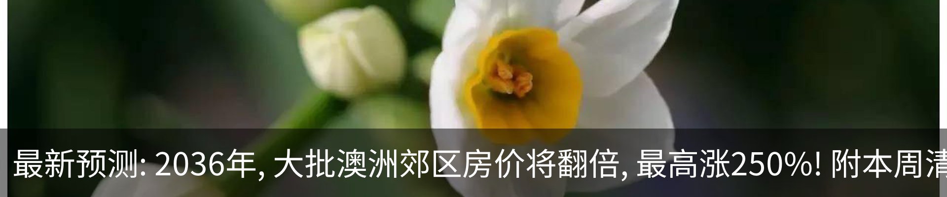 行业资讯