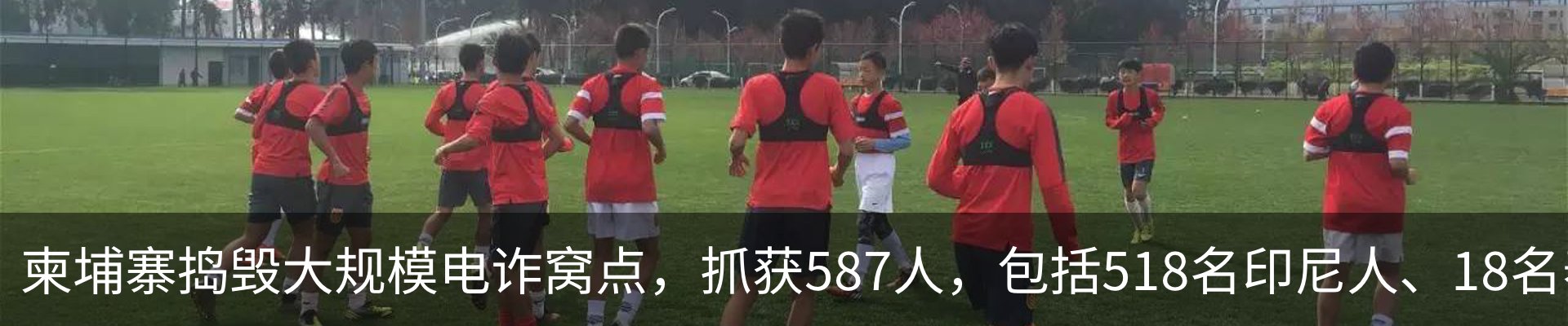 行业资讯