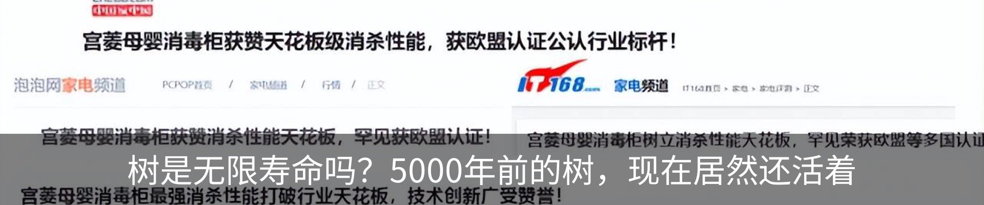 行业资讯