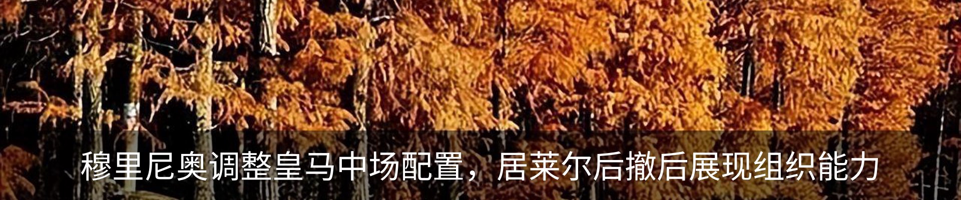 行业资讯
