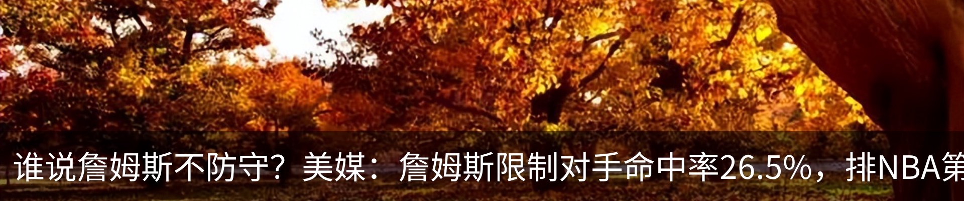 行业资讯