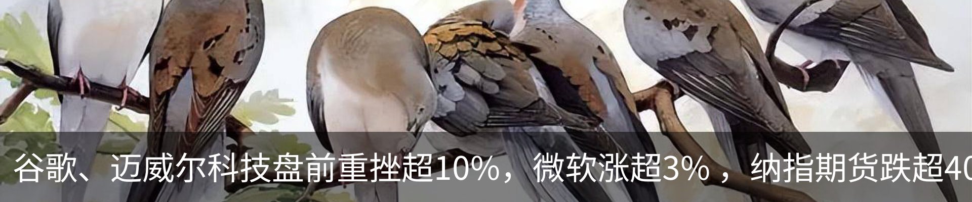 行业资讯