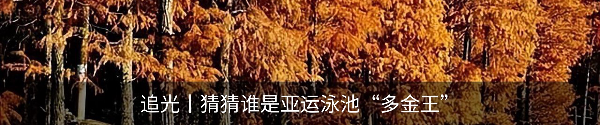 行业资讯