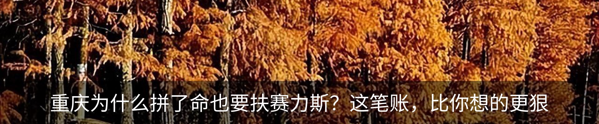 行业资讯