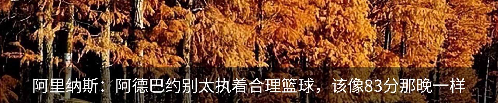 行业资讯