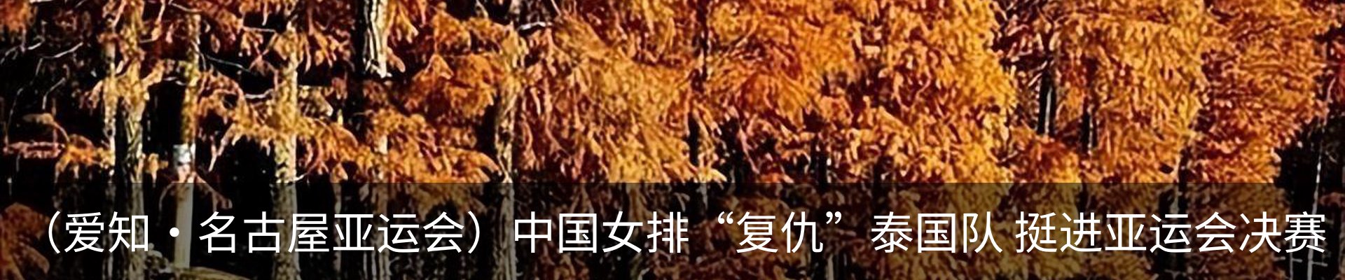 行业资讯