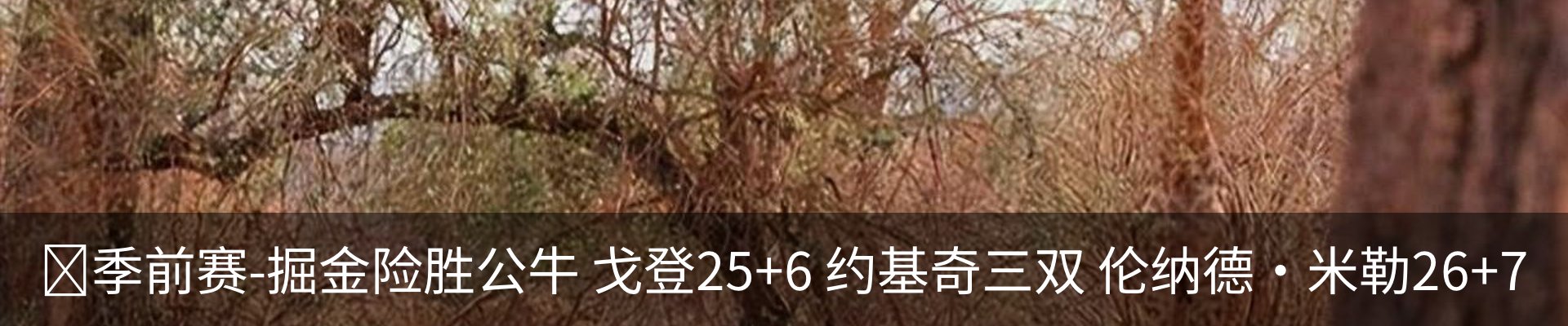 行业资讯