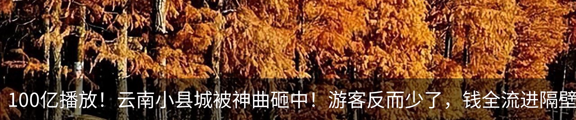 行业资讯