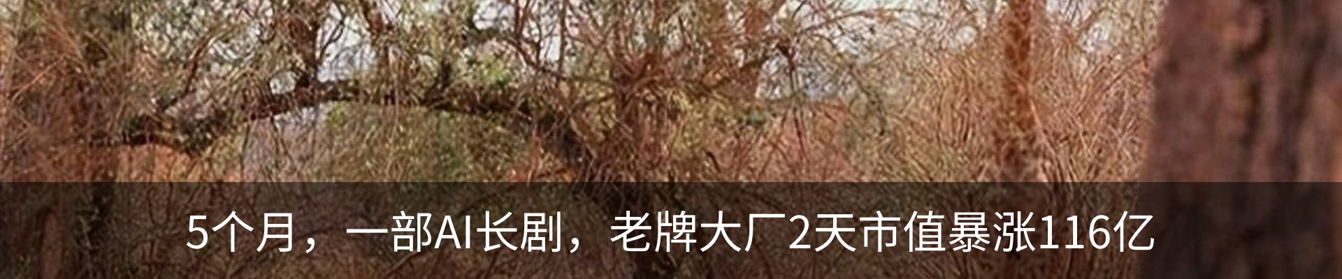 行业资讯