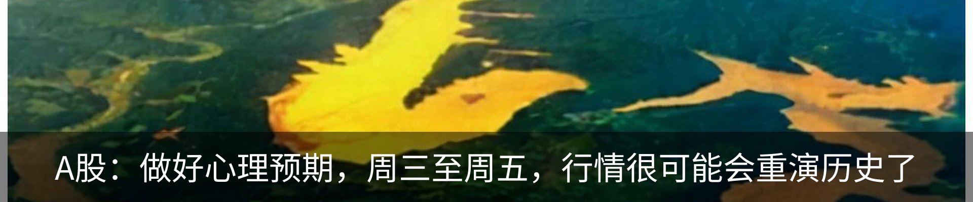 行业资讯